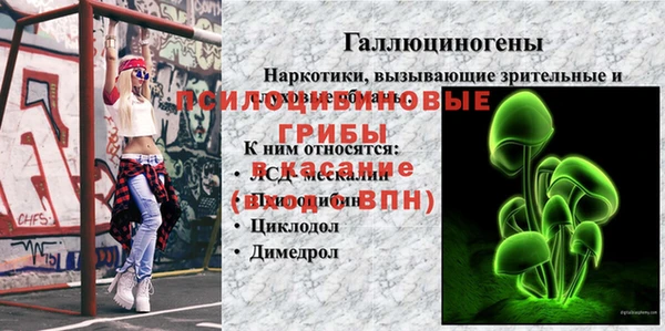 соль ск Нефтекумск