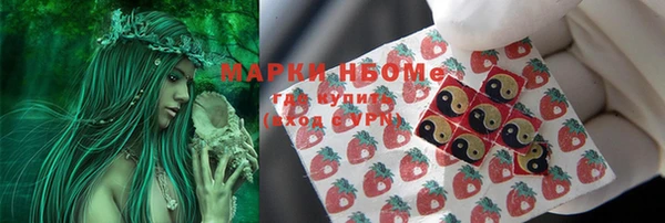 тгк Надым