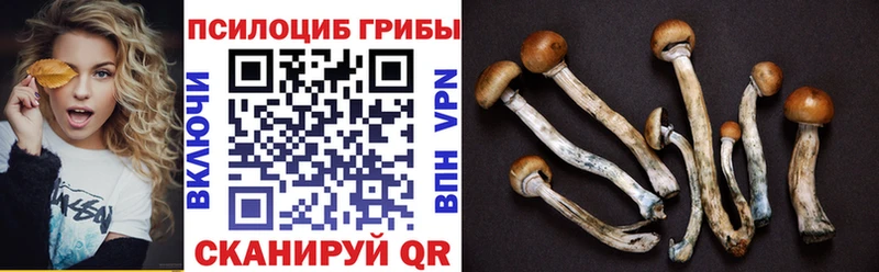 Псилоцибиновые грибы GOLDEN TEACHER  наркота  mega маркетплейс  Кисловодск 
