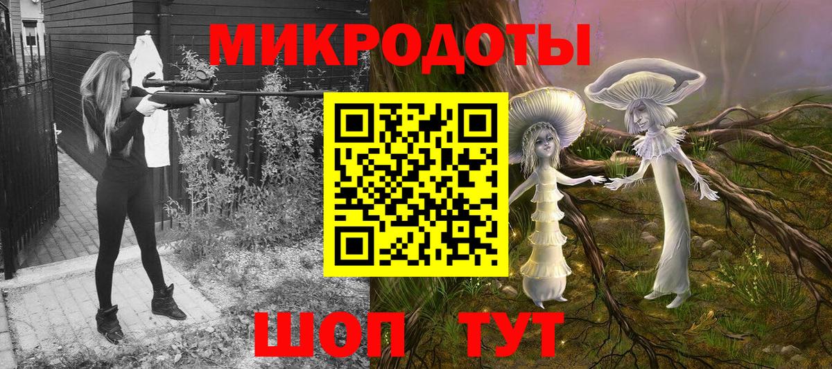 Псилоцибиновые грибы Psilocybe Кисловодск